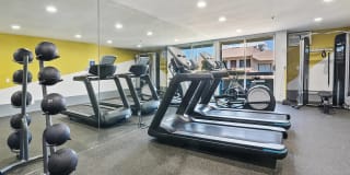 The Jessica Apartments Gallery 19