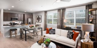 Allora New Forest Gallery 5