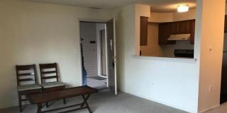 1105 ASPEN Drive Gallery 3