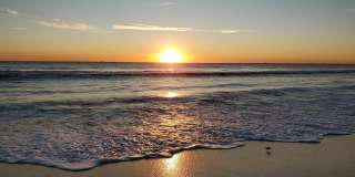 5530 N Ocean Boulevard Gallery 29