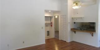 8423 SEMINOLE BLVD Gallery 24