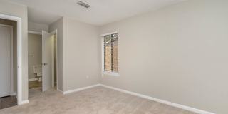Clear Run Gallery 17