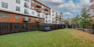 The Reserve at Burlington Gallery 53