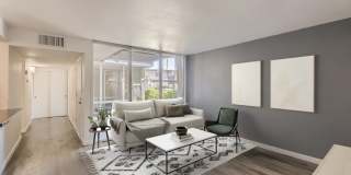 Rise Biltmore Gallery 46