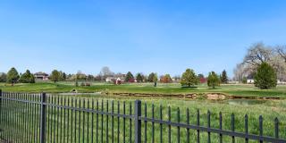 Beautiful 5 Bedroom Home in Windsor CO Gallery 58