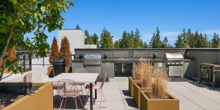 Ion Town Center Gallery 19