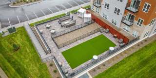 The Aurilla Gallery 55