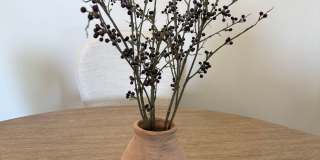 The Crest at Skyline Now offering up to 8 weeks FREE rent! Call today to schedule your tour: (480) 390-5392 Gallery 10