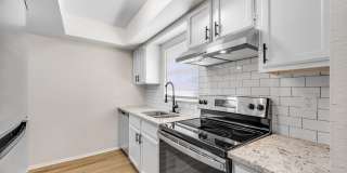 Renovated Apartment in the Heart of Carollwood Gallery 13