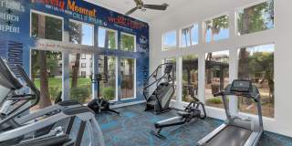 Montage at Pecos Ranch Gallery 4