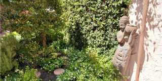 327 Aster Gallery 47