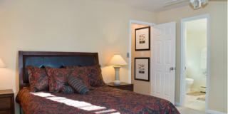 9905 Ashburton Ln Gallery 2