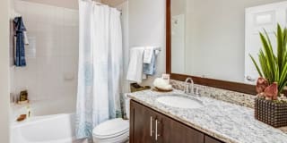 Nolina Flats Nolina Flats Gallery 11