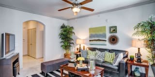 Avanti Cityside Gallery 24