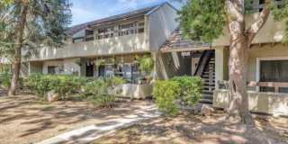 288 Tradewinds Dr Apt 6 288 Tradewinds Dr Apt 6 Gallery 1