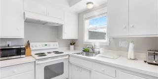 216 Agate Gallery 11