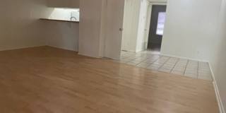 Kensington Court Gallery 52