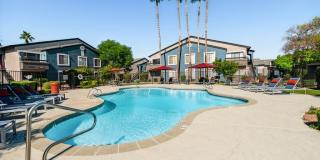 Palms at South Mountain Gallery 12