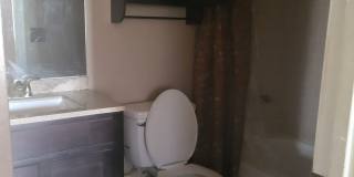 286 Whitetail Circle Gallery 10