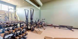 Taryn at 401 Gallery 15