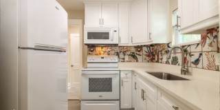 4718 13th Avenue South Gallery 8