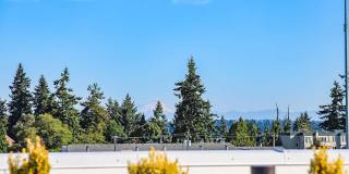 Green Leaf Shoreline Gallery 21