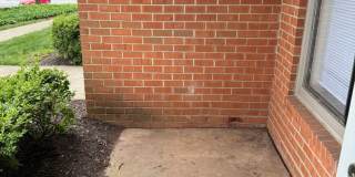 8383 Buttress Ln Gallery 14