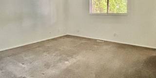 3 Bed / 2 Bath Kirkland-Finn Hill rambler $2,995/month Gallery 9