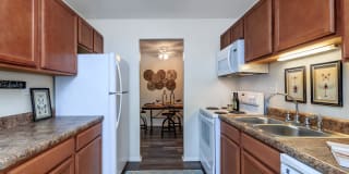 Walden Pond Gallery 26