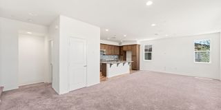 12162 Diamond Dust Dr. 12162 Diamond Dust Dr. Gallery 6