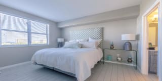 Emera Port Royale Gallery 32