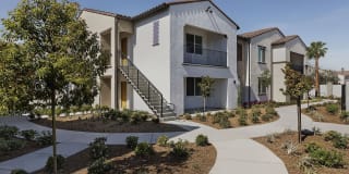 Harvest in Tracy Gallery 43