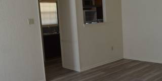 New floors Gallery 12