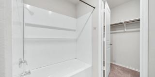 10135 Braun Cloud Gallery 22