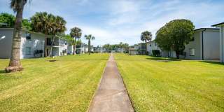 Palm Cove Apartments Gallery 14