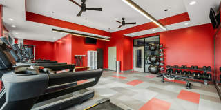 Aura at Innovation Square Aura at Innovation Square Gallery 7