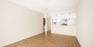 400-420 N. Oakland Ave. Gallery 15