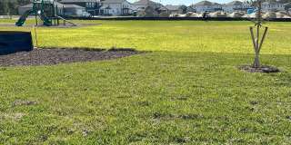 Like-New Ashton Woods Spacious 5BR 4BA, Prime Location Near I-4! Gallery 36