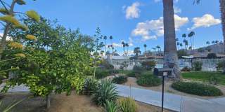 37800 Da Vall Drive unit: 12 Gallery 32