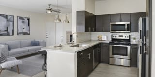 Camden Caley Gallery 1