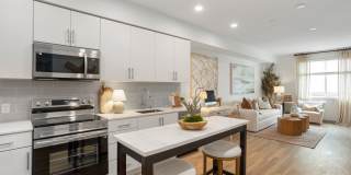 Alta Westwind Gallery 16