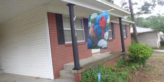 1515 E Twin Lakes Drive Gallery 3