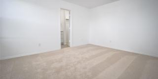 2023 Delphine Drive Gallery 12