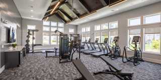 Allora New Forest Gallery 13