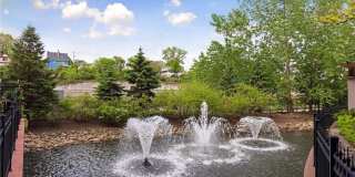 317 Groveland Avenue Gallery 29