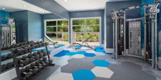 Elevate 155 Gallery 17