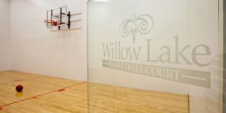 Willow Lake Gallery 26