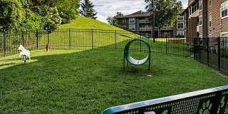 The Forest at Chasewood Apartment Homes Gallery 52