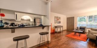 Lake Pointe Apartments Gallery 14