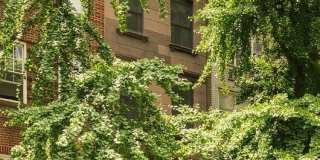 320 E 55TH Street Gallery 14